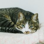 ここ数日の記録